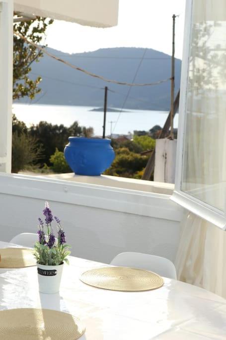 White Villa In Olive Trees And Seaview To Panagia Almiropótamos Eksteriør bilde