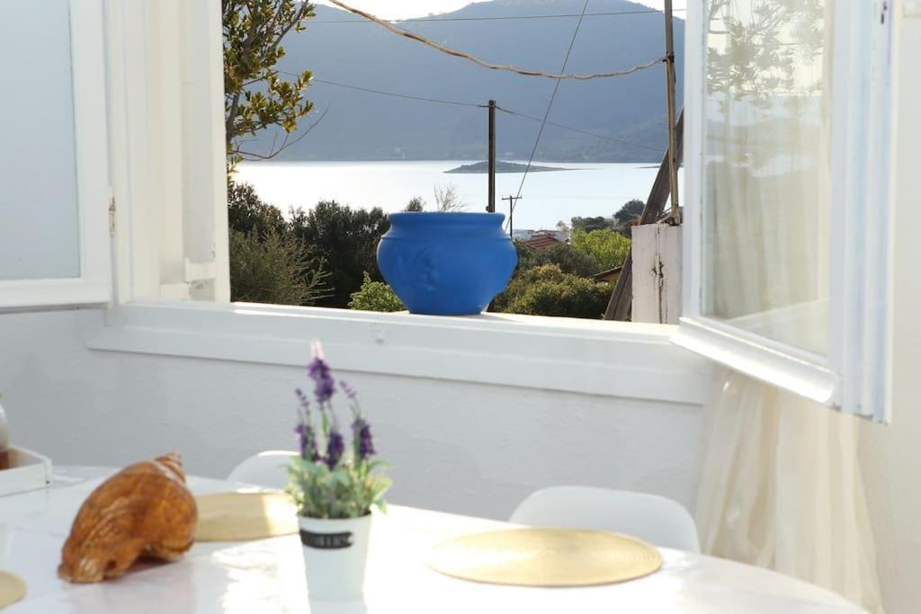 White Villa In Olive Trees And Seaview To Panagia Almiropótamos Eksteriør bilde