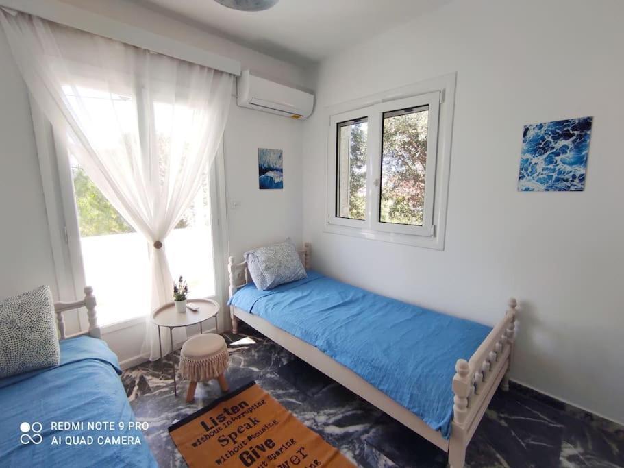 White Villa In Olive Trees And Seaview To Panagia Almiropótamos Eksteriør bilde