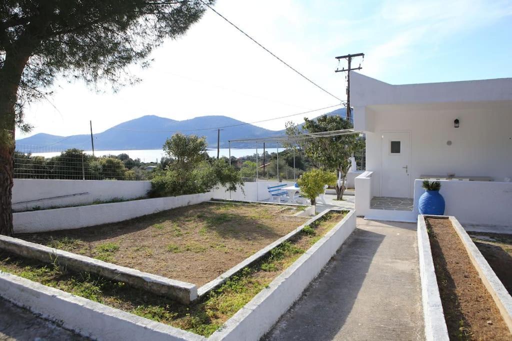 White Villa In Olive Trees And Seaview To Panagia Almiropótamos Eksteriør bilde