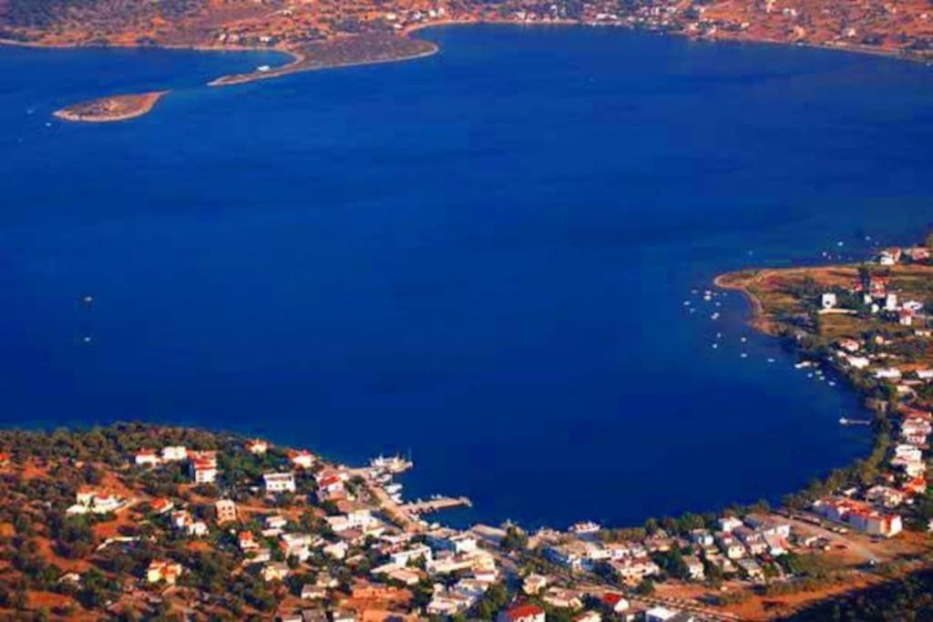 White Villa In Olive Trees And Seaview To Panagia Almiropótamos Eksteriør bilde