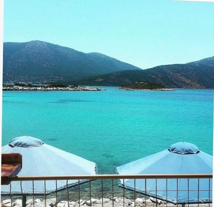 White Villa In Olive Trees And Seaview To Panagia Almiropótamos Eksteriør bilde